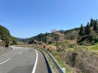 伊代大洲駅〜四国八十八ヶ所霊場 第44番札所 大寶寺