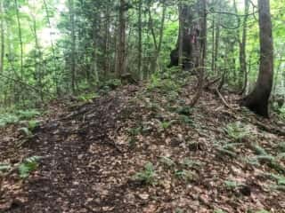 恐山 (大尽山) 登山道