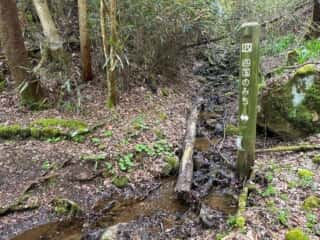 いやしの宿八丁坂〜四国八十八ヶ所霊場 第46番札所 浄瑠璃寺