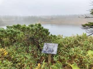 八幡平登山道