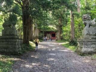 戸隠神社　参道