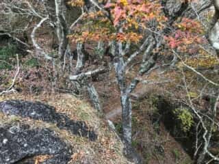 筑波山 立身石