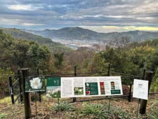 四国八十八ヶ所霊場 第30番札所 善楽寺～第31番札所 竹林寺（五台山）