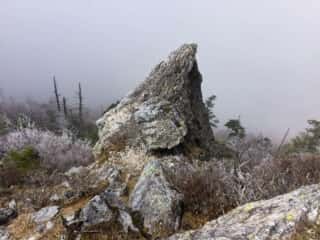 剣山の鶴石