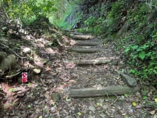 四国八十八ヶ所霊場 第80番札所 国分寺〜第81番札所 白峯寺