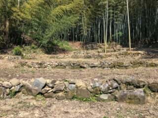 竹ヶ島 七段の聖地