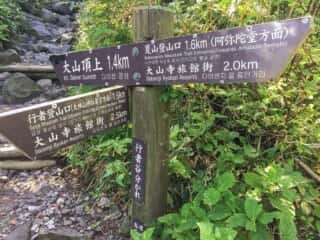 大山登山道