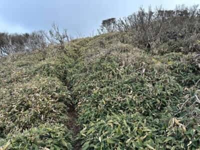 土佐矢筈山・小桧曽山
