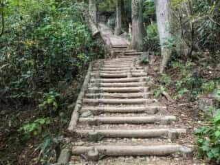 筑波山登山道