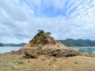 奄美大島 久場立神 千年松跡地