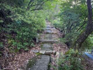 仁和寺　御室八十八ヶ所霊場