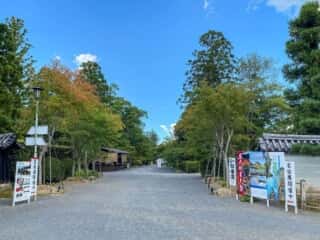 仁和寺　霊宝館への参道
