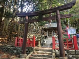 黄金山神社　金椿神社