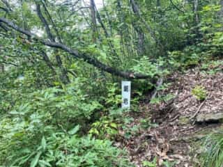 一年峰山道途中の「鋸岩」