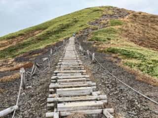 秋田駒ヶ岳 登山道