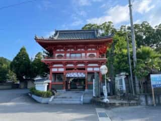 四国八十八ヶ所霊場 第3番札所 金泉寺