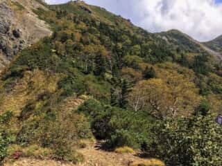 権現岳