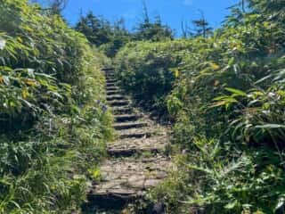 屏風岳・刈田岳 登山道