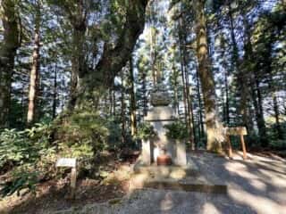 四国八十八ヶ所霊場 第21番札所 太龍寺