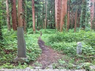 出羽三山 伊弉諾稲神社参道
