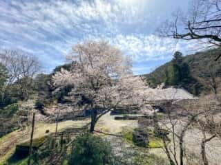 四国八十八ヶ所霊場 第43番札所 明石寺
