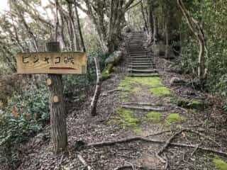 ビシャゴ磯への道