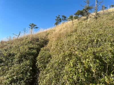 寒峰・烏帽子山