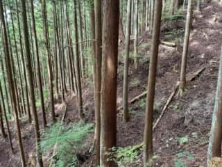 天行山