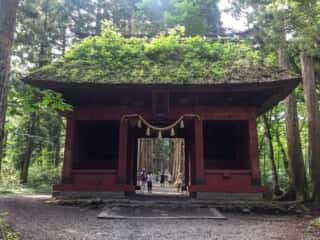 戸隠神社奥社　随神門