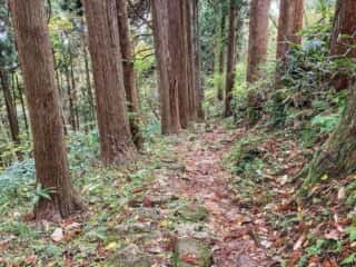 真山登山道