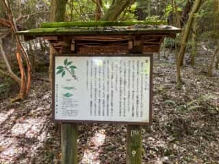 四国八十八ヶ所霊場 第81番札所 白峯寺〜第82番札所 根香寺