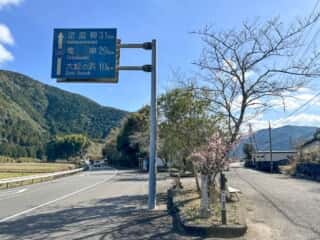 四国八十八ヶ所霊場 第37番札所 岩本寺～第38番札所 金剛福寺