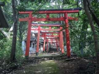 大龍寺　鳥居