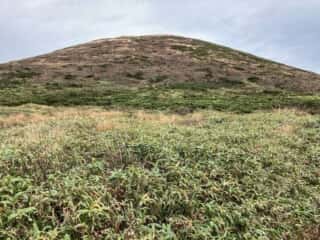 秋田駒ヶ岳登山道