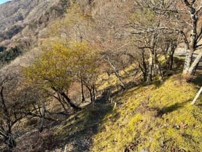 那賀川源泉