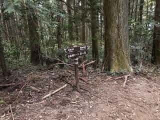 筑波山登山道