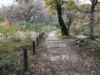 筑波山 登山道御幸ヶ原