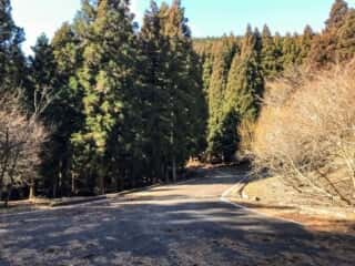 石投山 黒森山 登山道