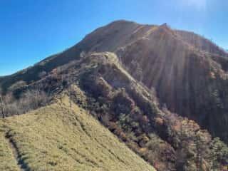 剣山・次郎笈 登山道の景色