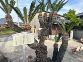 四国八十八ヶ所霊場 第53番札所 円明寺〜第54番札所 延命寺