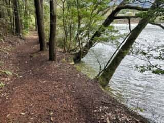 四国八十八ヶ所霊場 第41番札所 龍光寺〜第42番札所 仏木寺