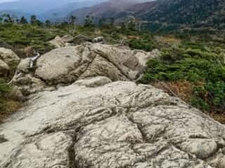 早池峰山 登山道