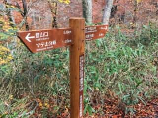 白神岳登山道