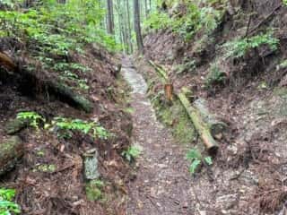 四国八十八ヶ所霊場 第11番札所 藤井寺〜第12番札所 焼山寺