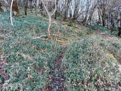 一ノ森・槍戸山