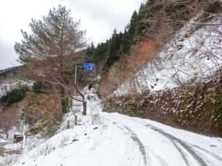 剣山スーパー林道