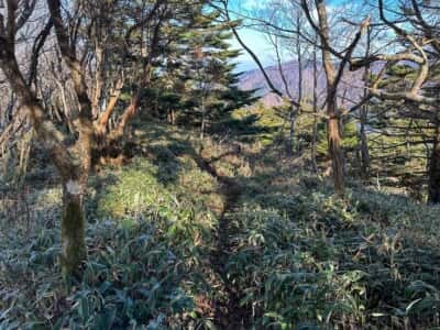 寒峰・烏帽子山