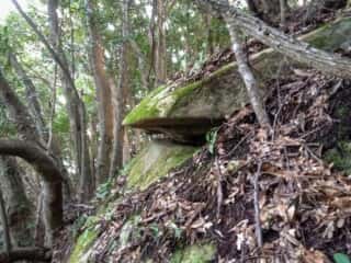 岩の博物館 竹ヶ島坊主岩