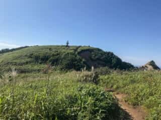 積丹岬自然公園遊歩道