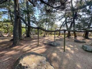 四国八十八ヶ所霊場 第80番札所 国分寺